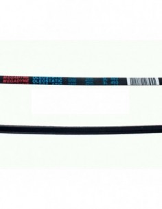 Courroie de lave-linge trapézoïdale 3L 493
