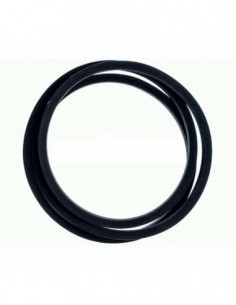 Courroie de lave-linge trapézoïdale 3L 493 2