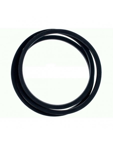 Courroie de lave-linge trapézoïdale 3L 493