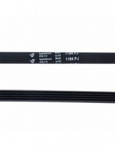 Courroie de lave-linge 1184 PJ