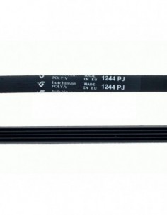 Courroie de lave-linge 1244 PJ