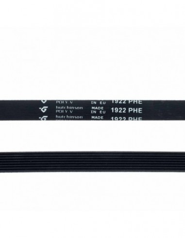 Courroie de lave-linge 1922 PHE