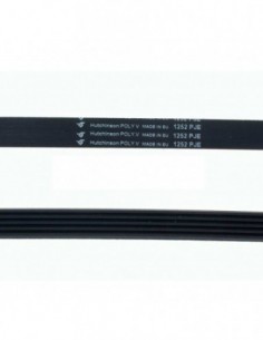 Courroie de lave-linge 5PJE 1252 (Hutchinson 55500000160)