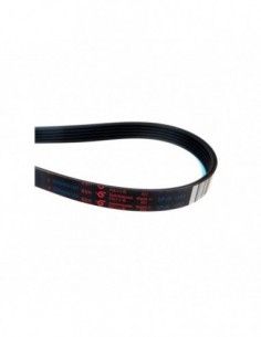 Courroie de lave-linge 5PJE 1252 (Hutchinson 55500000160) 2