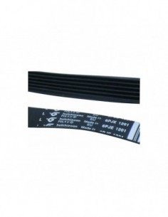 Courroie de lave-linge 6PJE 1201 2