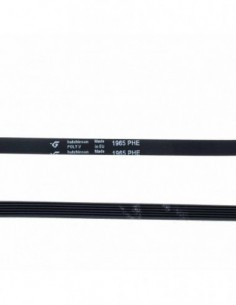 Courroie de sèche-linge 1965 PHE 481235818186