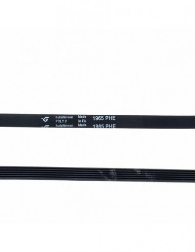 Courroie de sèche-linge 1965 PHE 481235818186