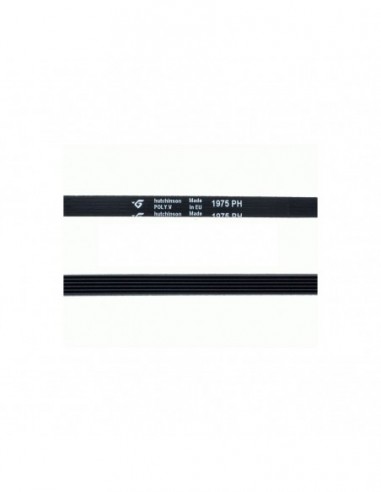 Courroie de sèche-linge 1975 PH