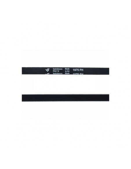 Courroie de sèche-linge 1975 PH