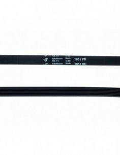 Courroie de sèche-linge 1951 PH