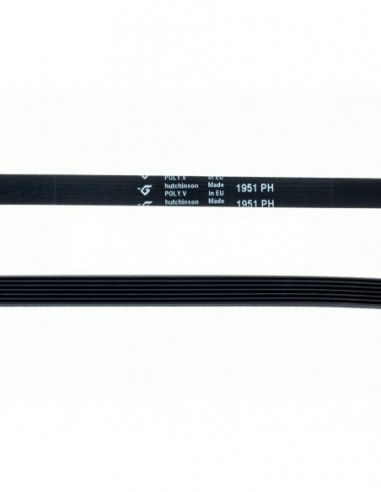 Courroie de sèche-linge 1951 PH
