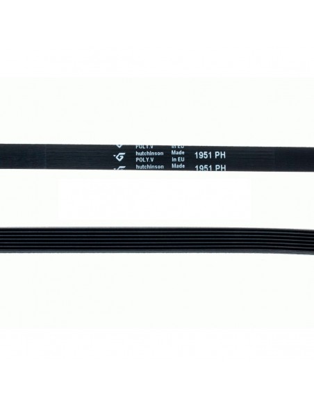 Courroie de sèche-linge 1951 PH