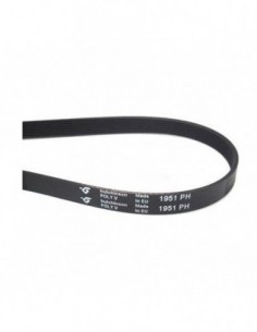 Courroie de sèche-linge 1951 PH 2