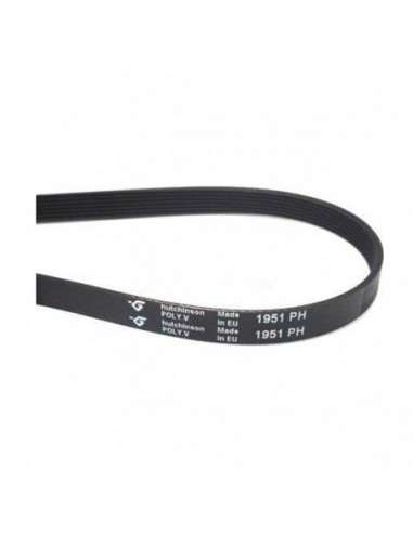 Courroie de sèche-linge 1951 PH