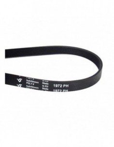 Courroie sèche-linge 1972 PH