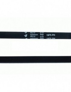 Courroie de sèche-linge 1975 H7.