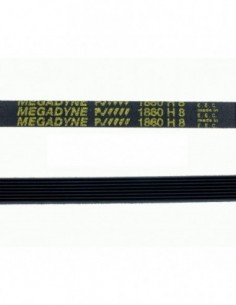 Courroie de sèche-linge 1860 H8