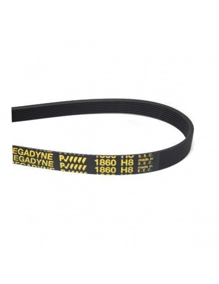 Courroie de sèche-linge 1860 H8