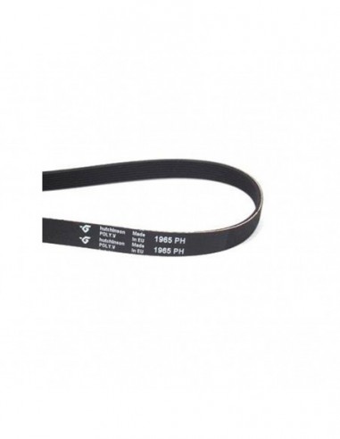 Courroie de sèche-linge 1965 PH.