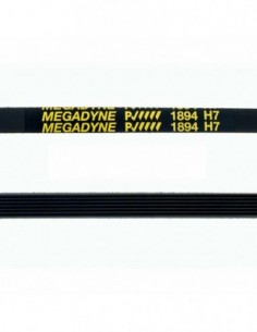 Courroie de sèche-linge 1894 H7