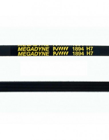 Courroie de sèche-linge 1894 H7