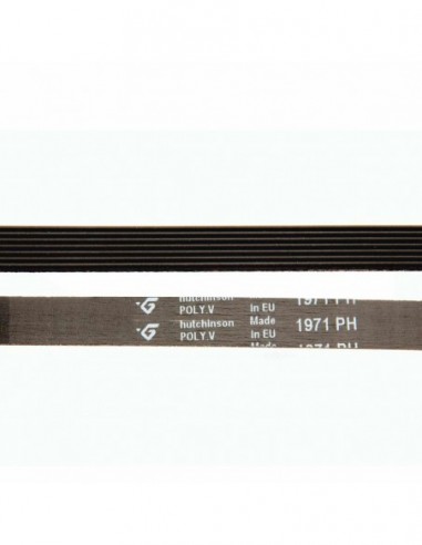 Courroie de sèche-linge 1971 PH