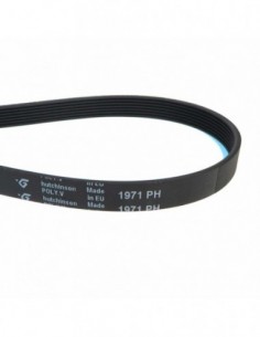 Courroie de sèche-linge 1971 PH 2