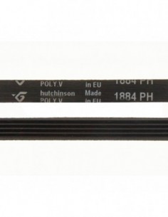 Courroie de sèche-linge 1884 PH