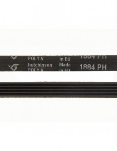 Courroie de sèche-linge 1884 PH