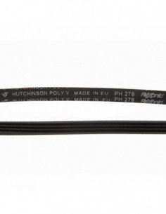 Courroie de sèche-linge PH 278