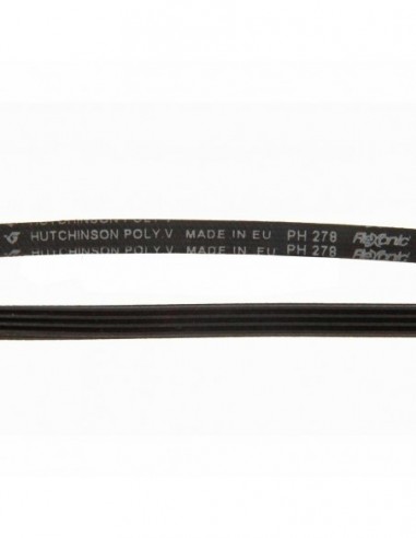 Courroie de sèche-linge PH 278