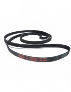 Courroie sèche-linge 7PH 1965 (144003064)