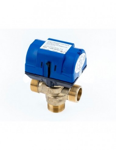 vanneve Chaudière TIFELL Eurofell CKV0VM10