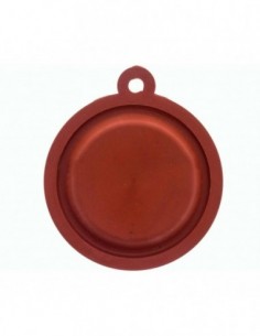 Membrane de chaudière CHAFFOTEAUX 6002217110 2