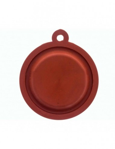 Membrane de chaudière CHAFFOTEAUX 6002217110
