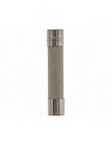 Fusible pour Micro-ondes 16,0A Ø6,3 x 32 mm.